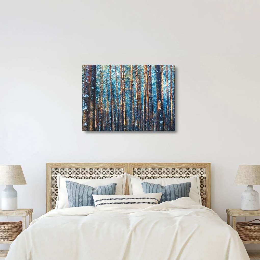 Kép - téli erdő (70x50 cm)