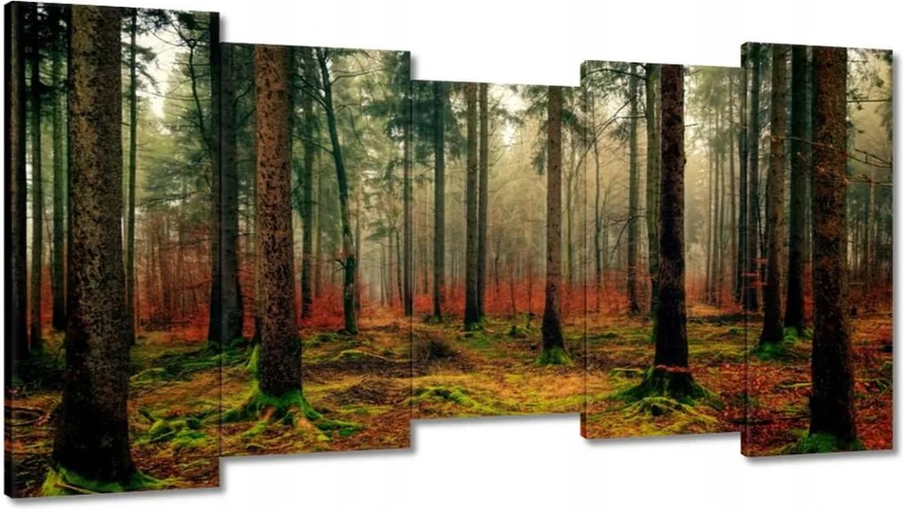 Festmények 150x80 Erdei táj Kilátás