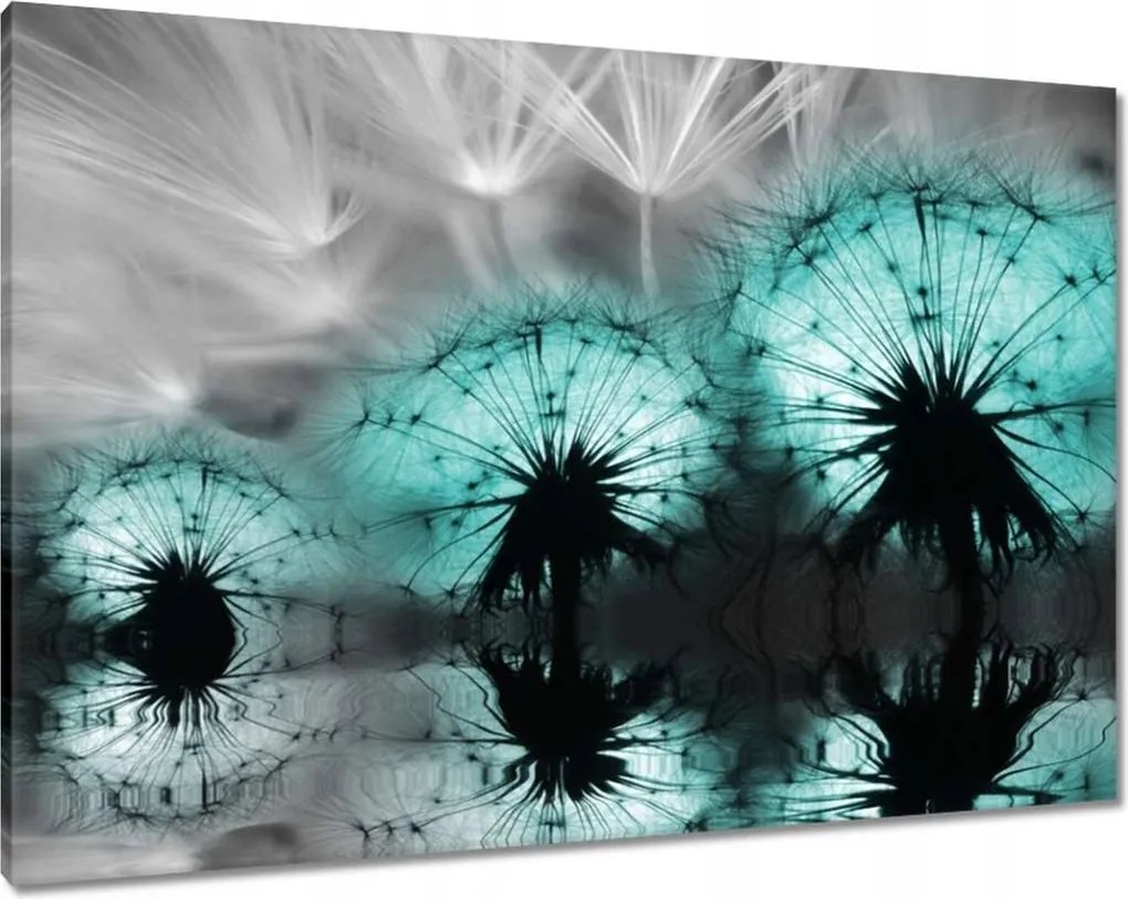 Vászonkép 100x70 Türkiz pitypangok