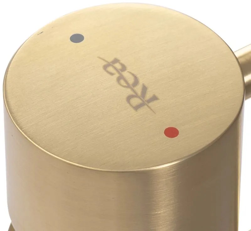 Fürdőszobai csaptelep Rea Tess Brush Gold High