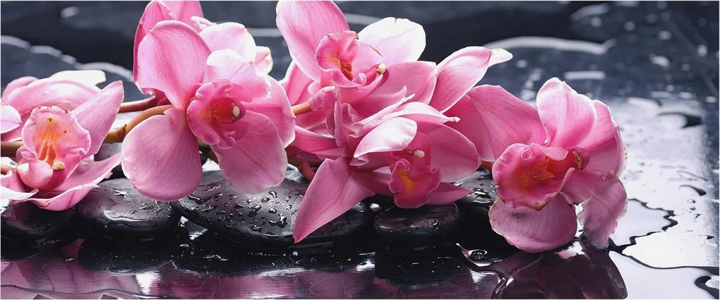 Modern fotótapéta Flizelina falra Virágos elegancia 250x104 Ragasztó