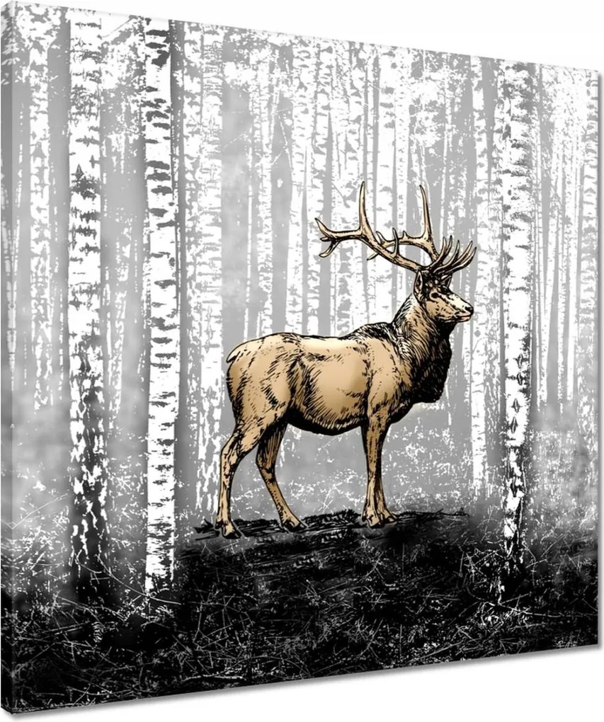 Vászonkép 50x50 Szarvas Nyírfa Erdő