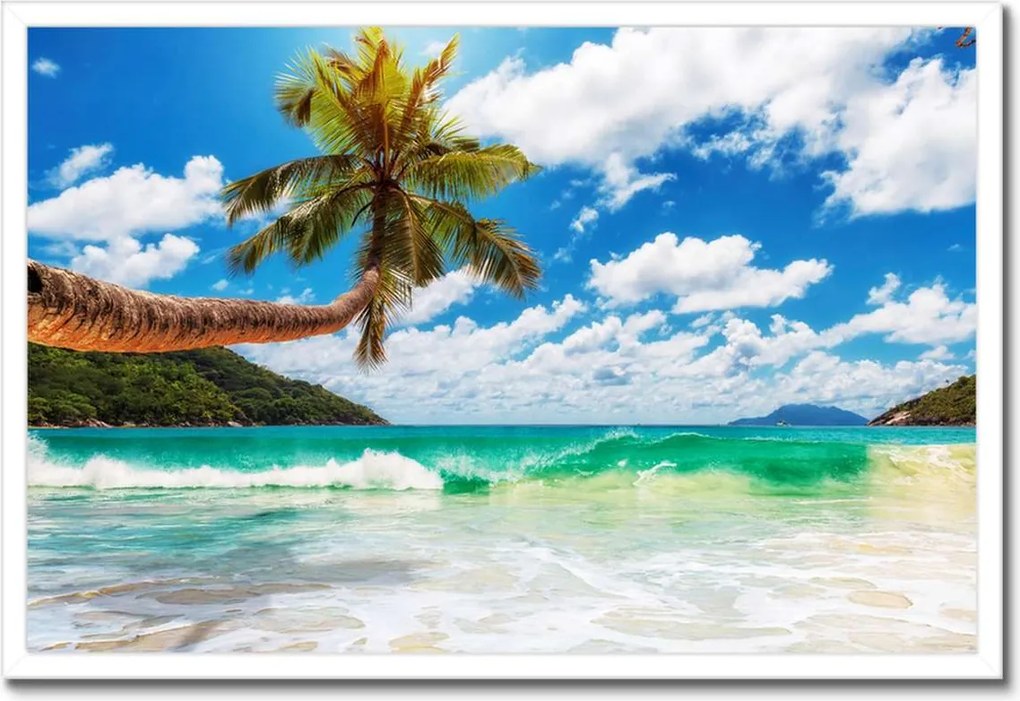 Poszter keretben 60x40 Trópusok Tájkép Pálmafák