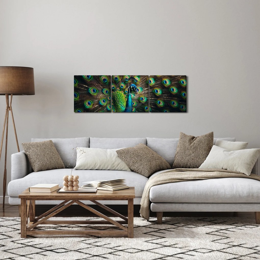 Kép – Pávatoll (órával) (90x30 cm)