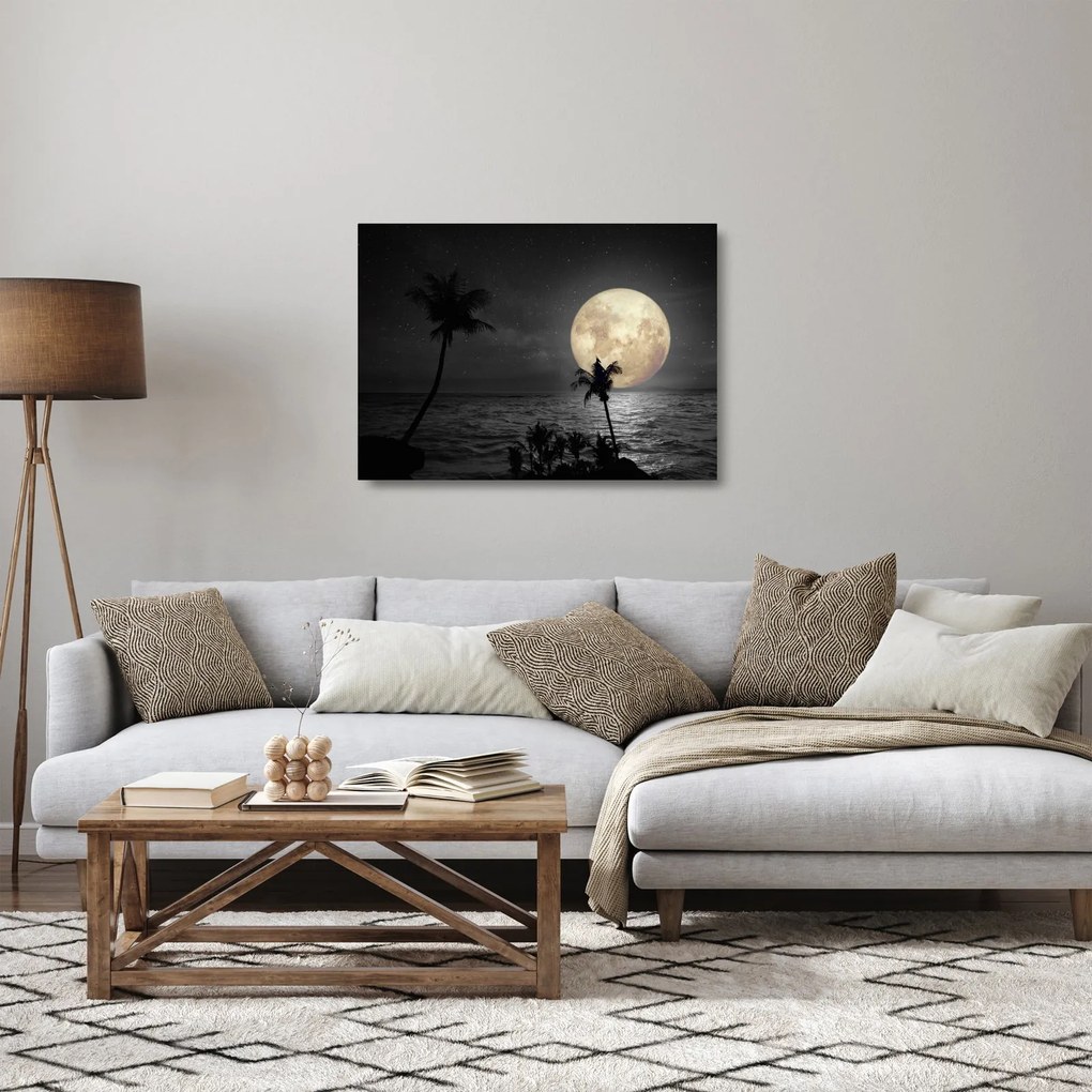 Kép - A strand a telihold alatt szürke tónusokkal (üvegen) (70x50 cm)