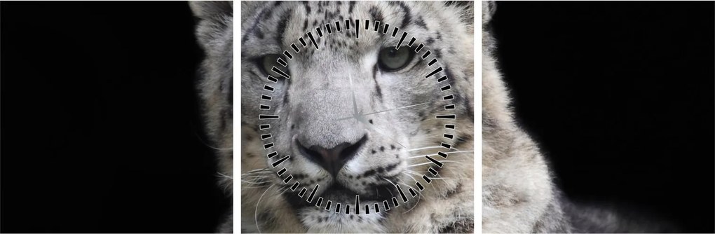 Kép - Snow Leopard (órával) (90x30 cm)