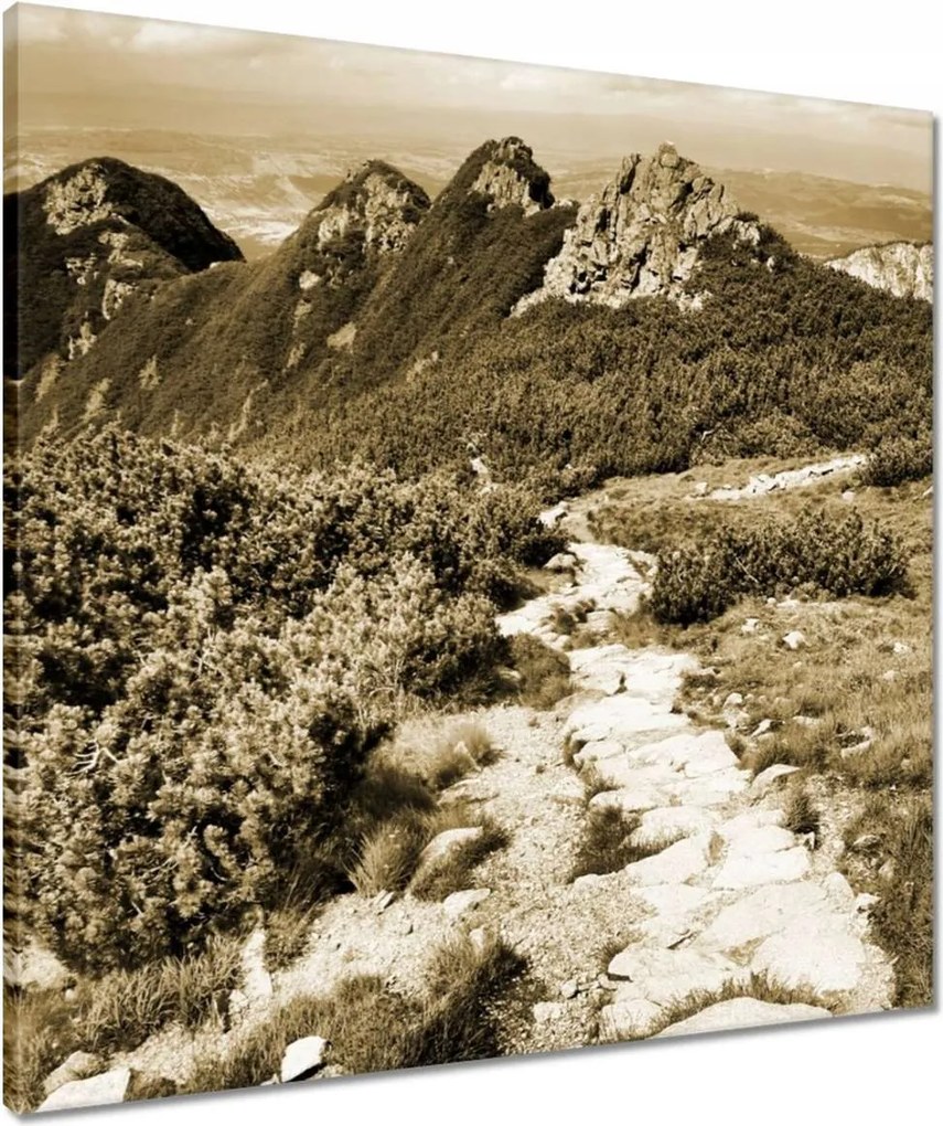 Vászonkép 60x60 Tátra Lengyel hegyek Kilátás