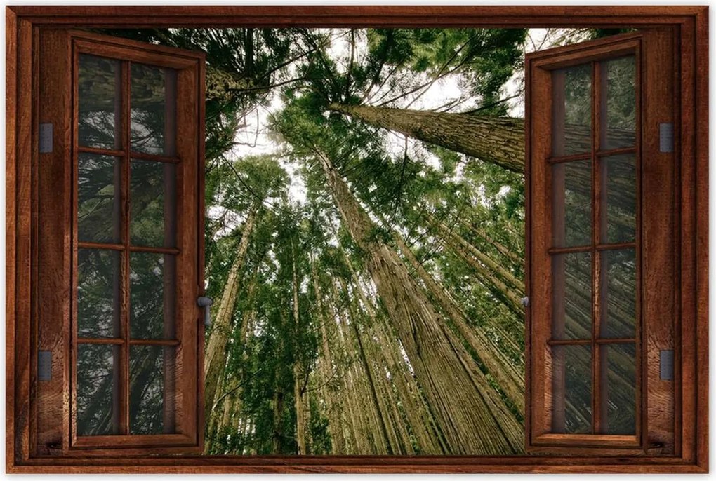 Poszterek 60x40 Fák