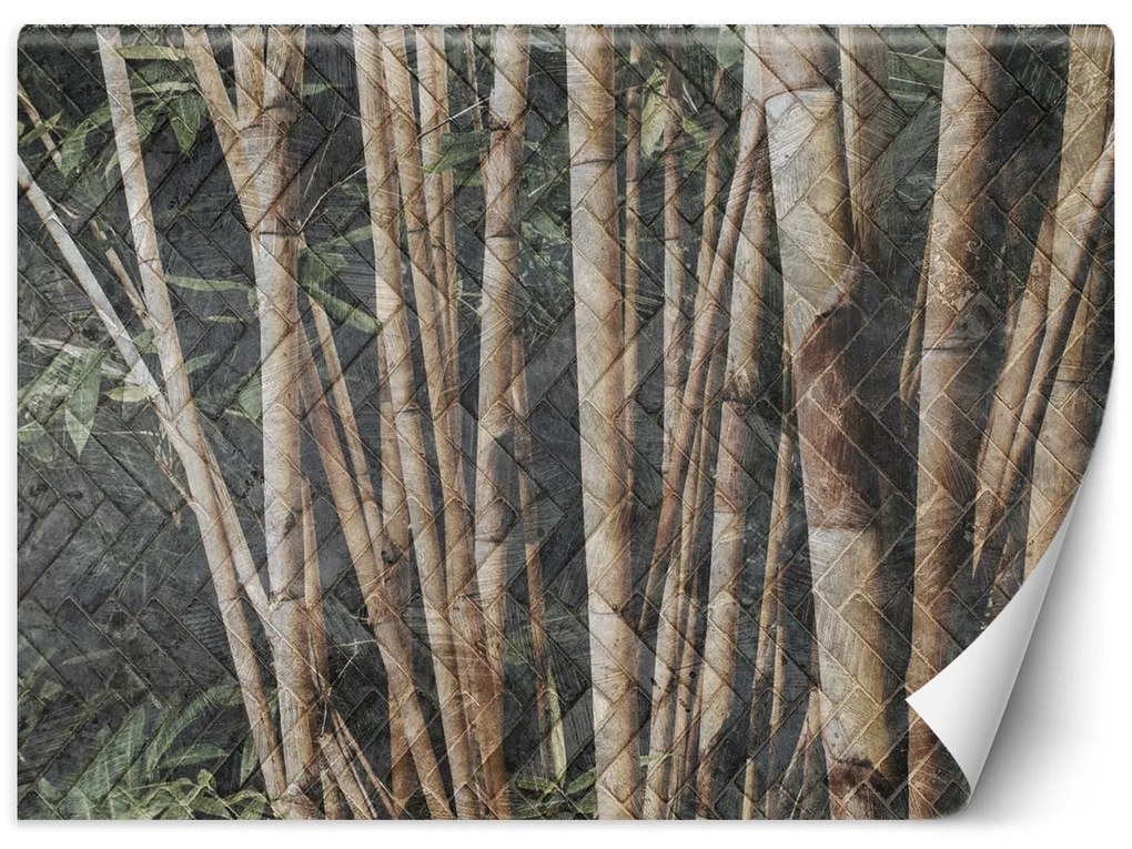 Gario Fotótapéta Bambusz erdő Anyag: Vlies, Méret: 400 x 280 cm