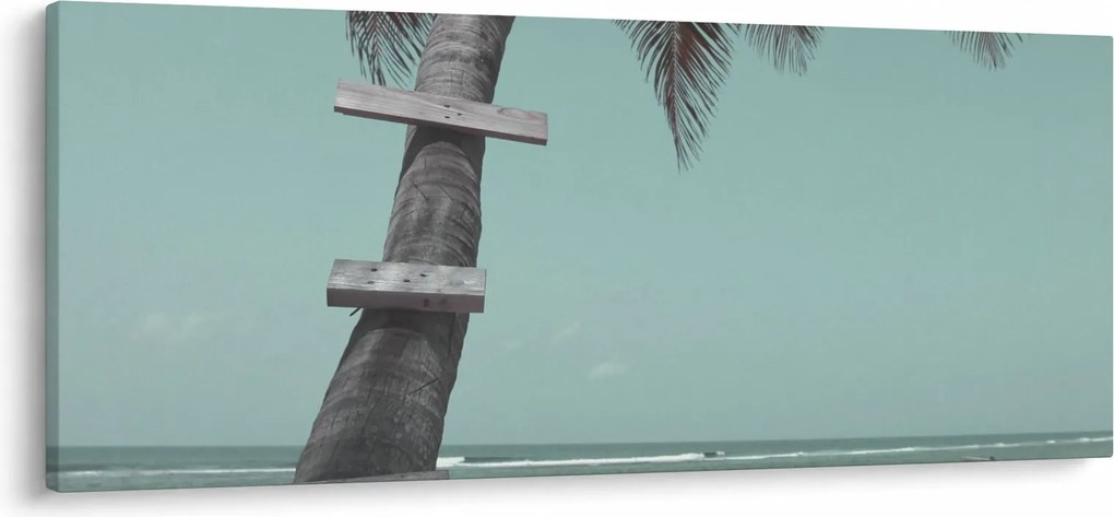Kép - Palma a Karib-tengeren (120x50 cm)