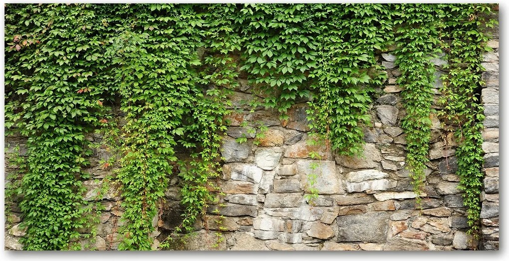 Fotótapéta üvegfalra Zöld borostyán 140x70