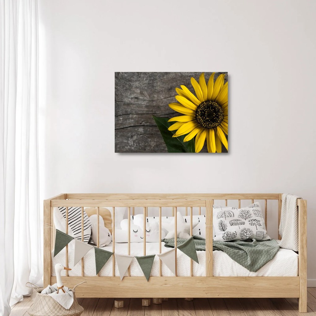 Kép - Napraforgó virága (üvegen) (70x50 cm)