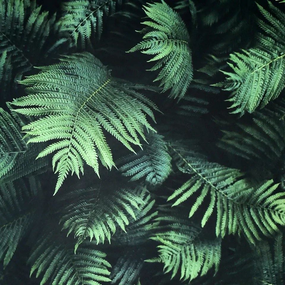 Arthouse Signature 1 Fern zöld 3D papír tapéta – 907601