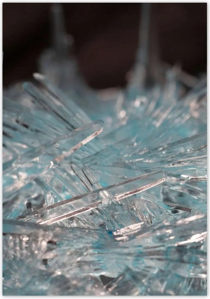 Poszterek 70x100 Makrofotó MacroFoto