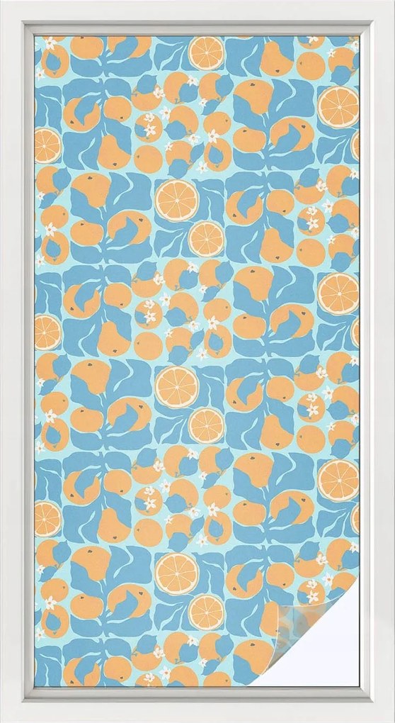 Ablakfólia Szélvédő Adatvédelem Hal citrus 50x100 cm