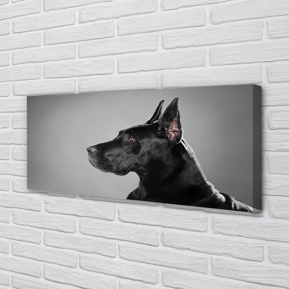 Canvas képek Fekete kutya 125x50 cm