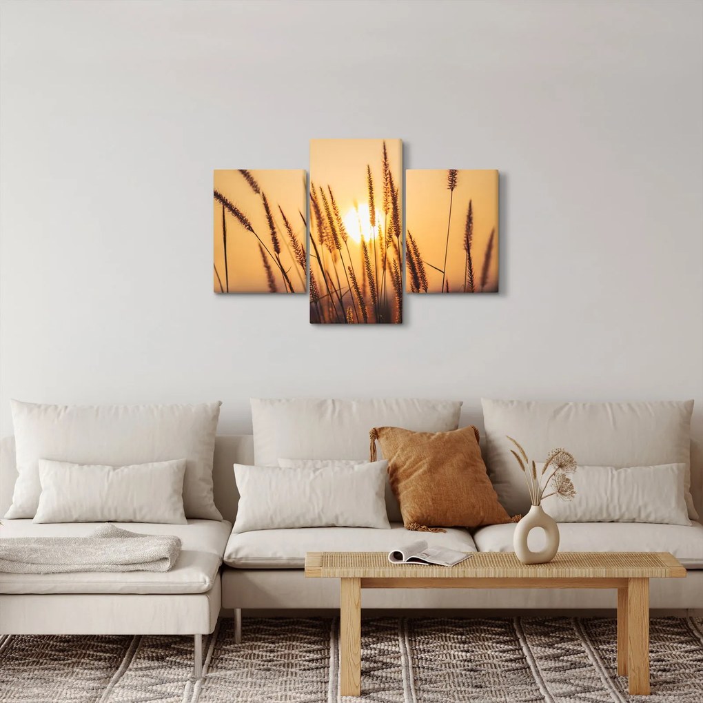 Kép - Füvek a napon (90x60 cm)