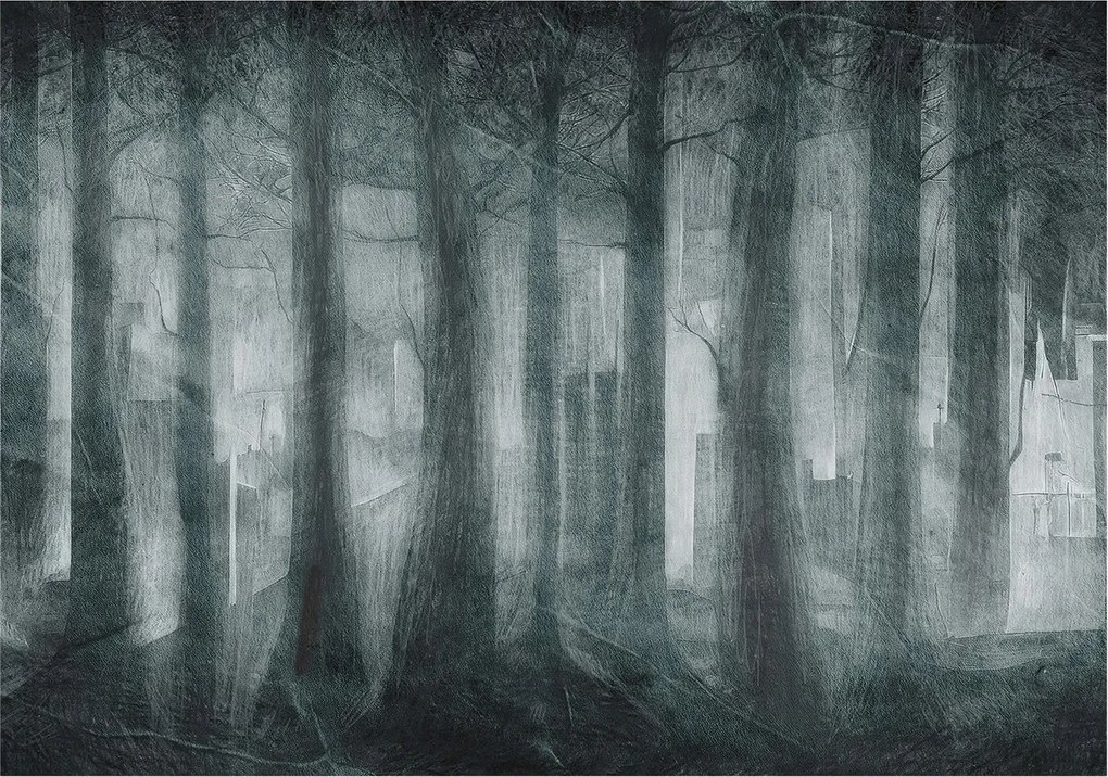 Design fotótapéta Flizelin falra Rejtélyes erdő 312x219 Ragasztó