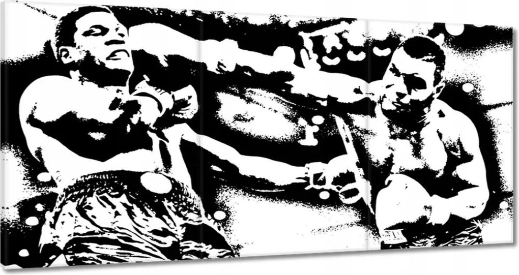 Vászonkép 60x30 Mike Tyson Ökölvívás Harc