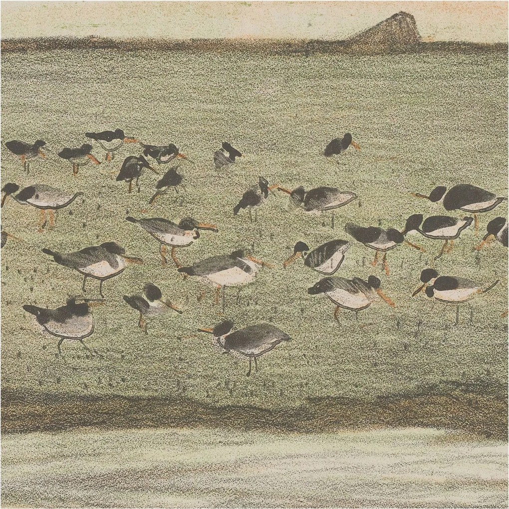 Fotótapéta Dekoratív Fali Tapéta Madár nyugalom képek 250x250