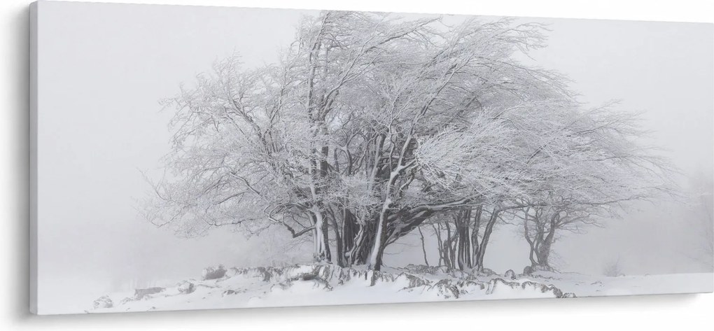 Kép - fehér tél (120x50 cm)