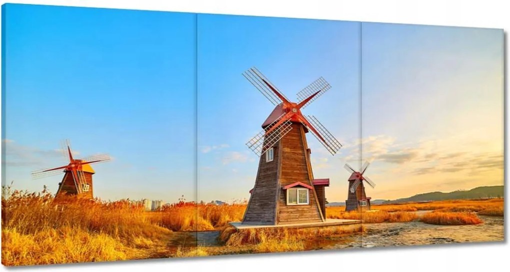 Vászonkép 60x30 Fa szélmalom Tájképek