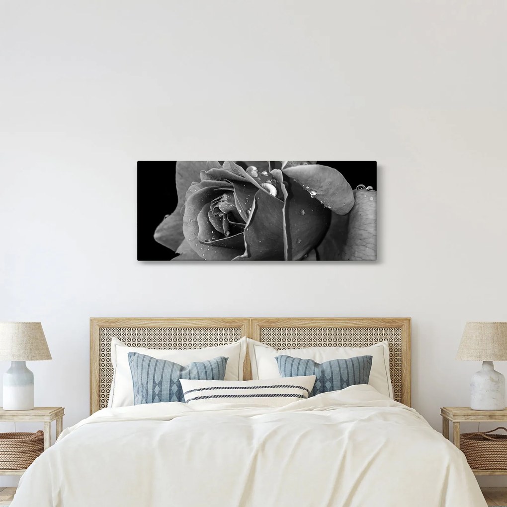 Rózsa képe - fekete fehér (120x50 cm)