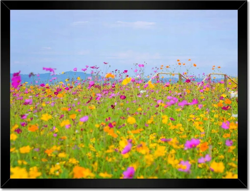 Poszterek keretben 40x30 Virágtenger Virágok