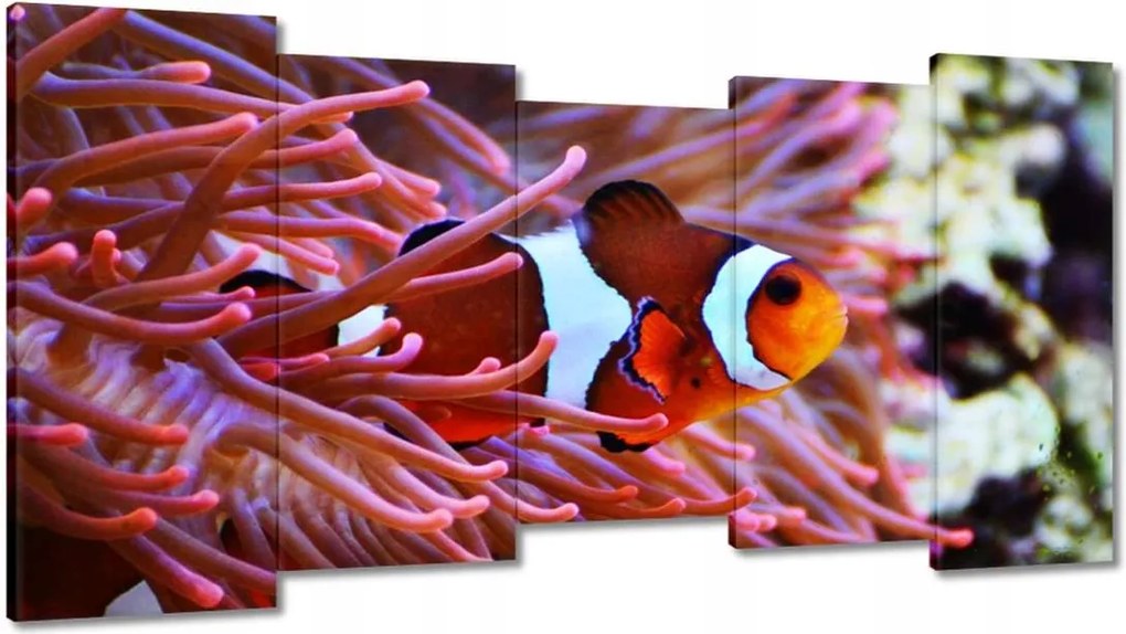 Vászonkép 150x80 Narancssárga hal Rafa