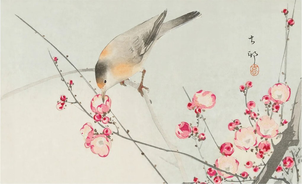 Fotótapéta Flizelin Hálószoba és Nappali Tapéta Virágos madár 416x254