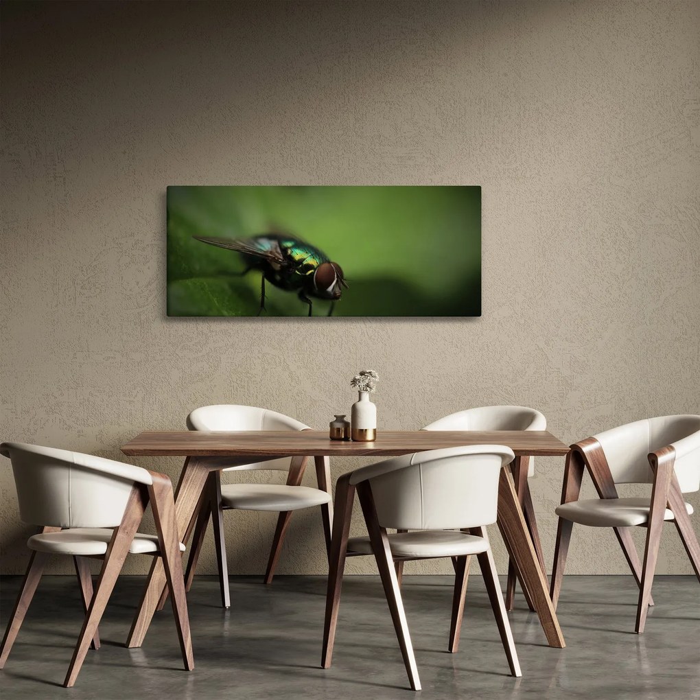 Kép - Légy (120x50 cm)
