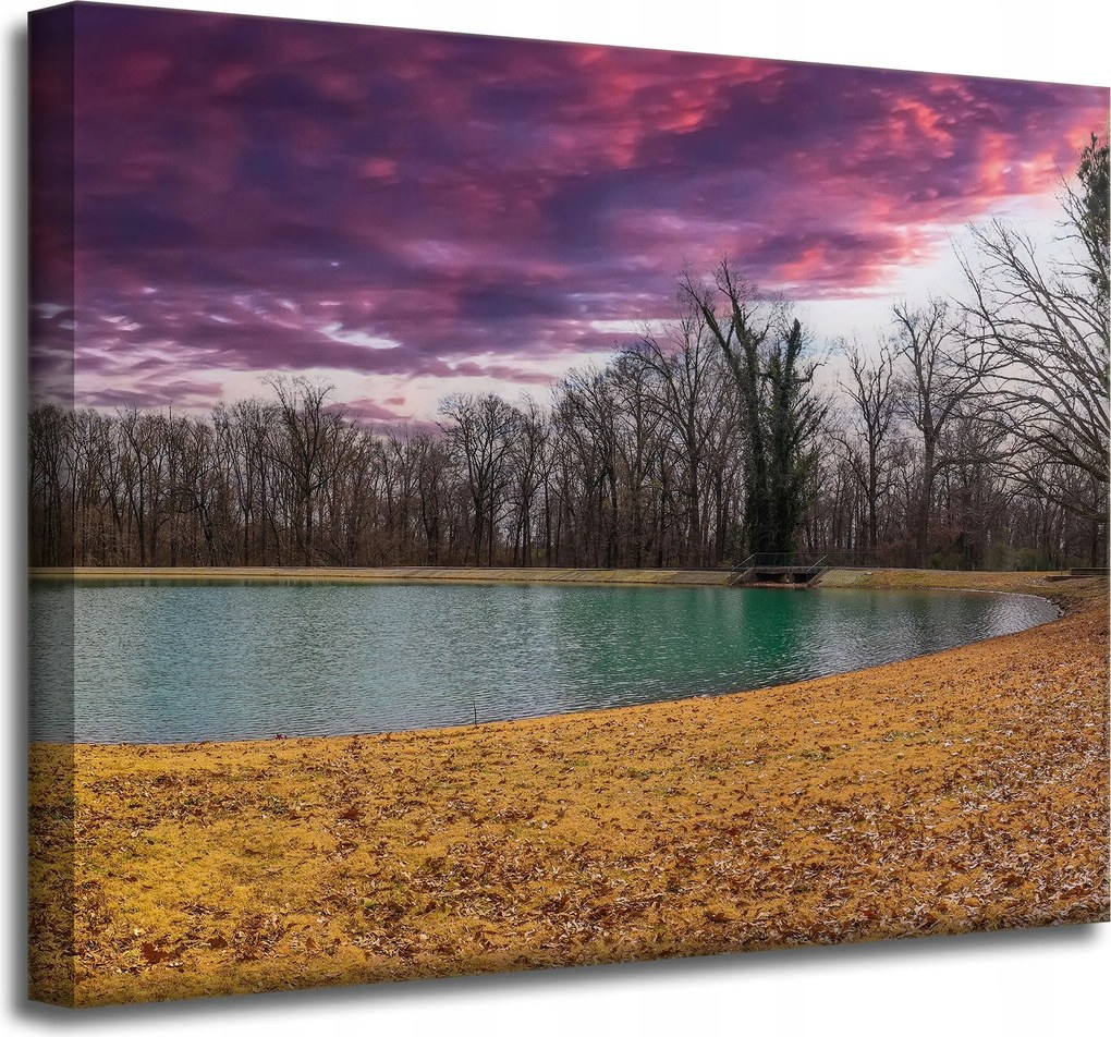Vászonkép Lila ég tó fák Ősz 50x40 cm
