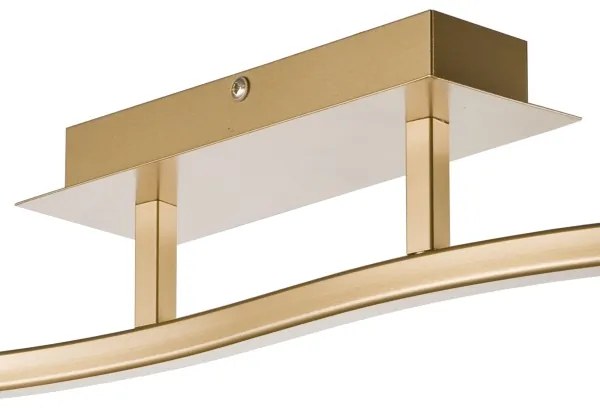 spotlámpa KLARA 2xE14/40W/230V arany