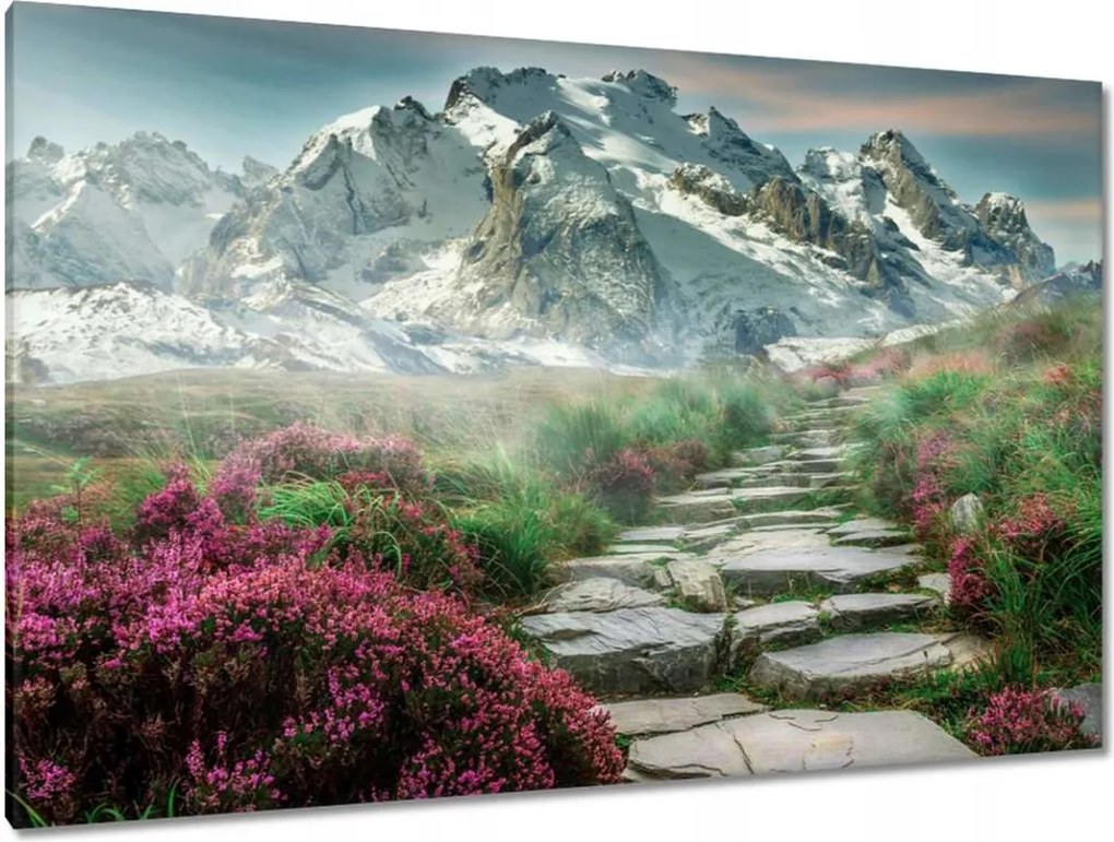 Festmények 120x80 Hegyi kilátás