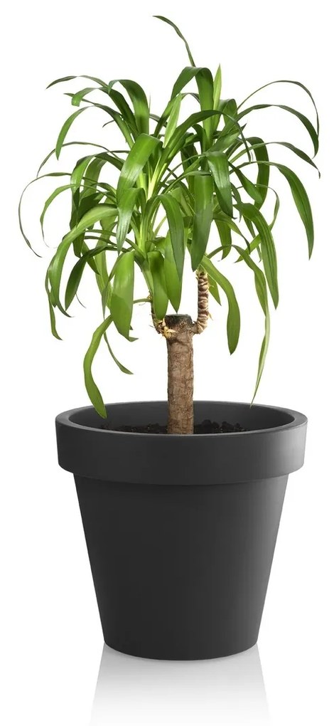 Gardenico Metro Twist 'n' Roll virágtartó, antracit, 29 x 26,5 cm, 29 cm