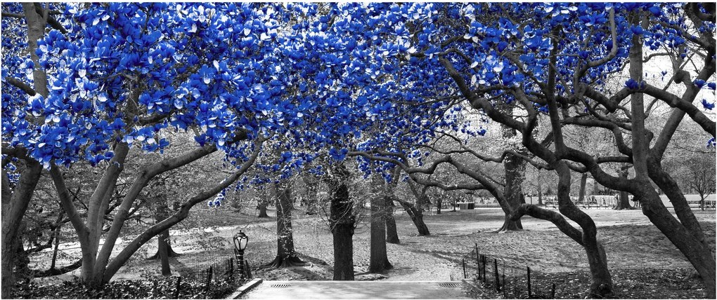 Kép - Kék fák, Central Park, New York (120x50 cm)