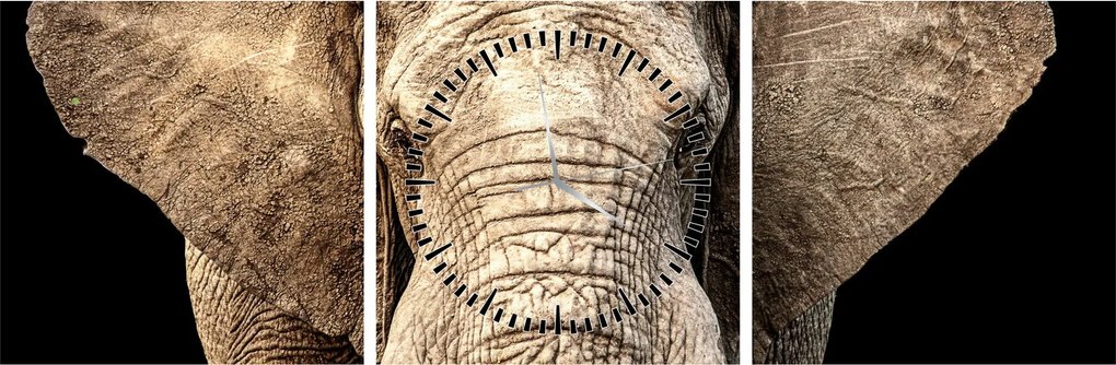 Kép - Afrikai elefánt (órával) (90x30 cm)