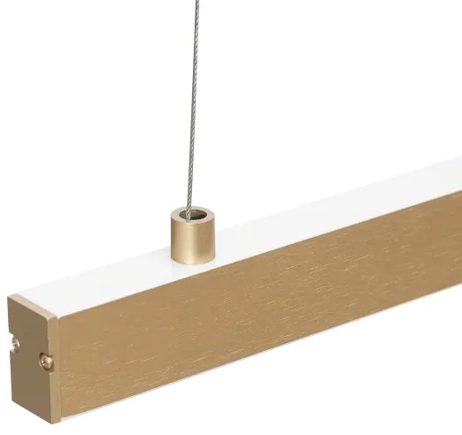 Argon 8836 - LED Csillár zsinóron MIAMI LED/37W/230V 3000K arany