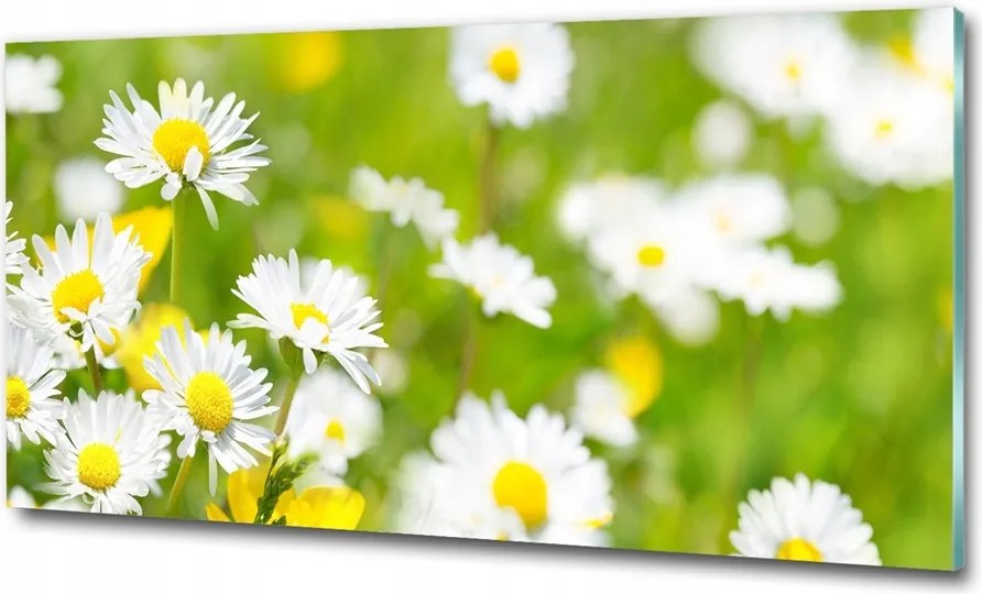 Fotótapéta falra edzett üveg Levendula 125x50