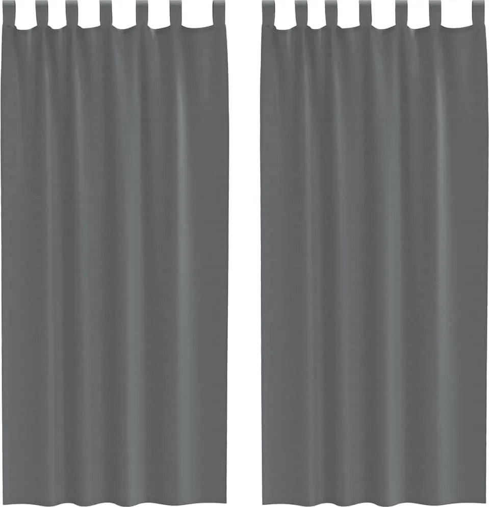 vidaXL 2 db sötétszürke fátyolfüggönyök hurokkal 140x245 cm