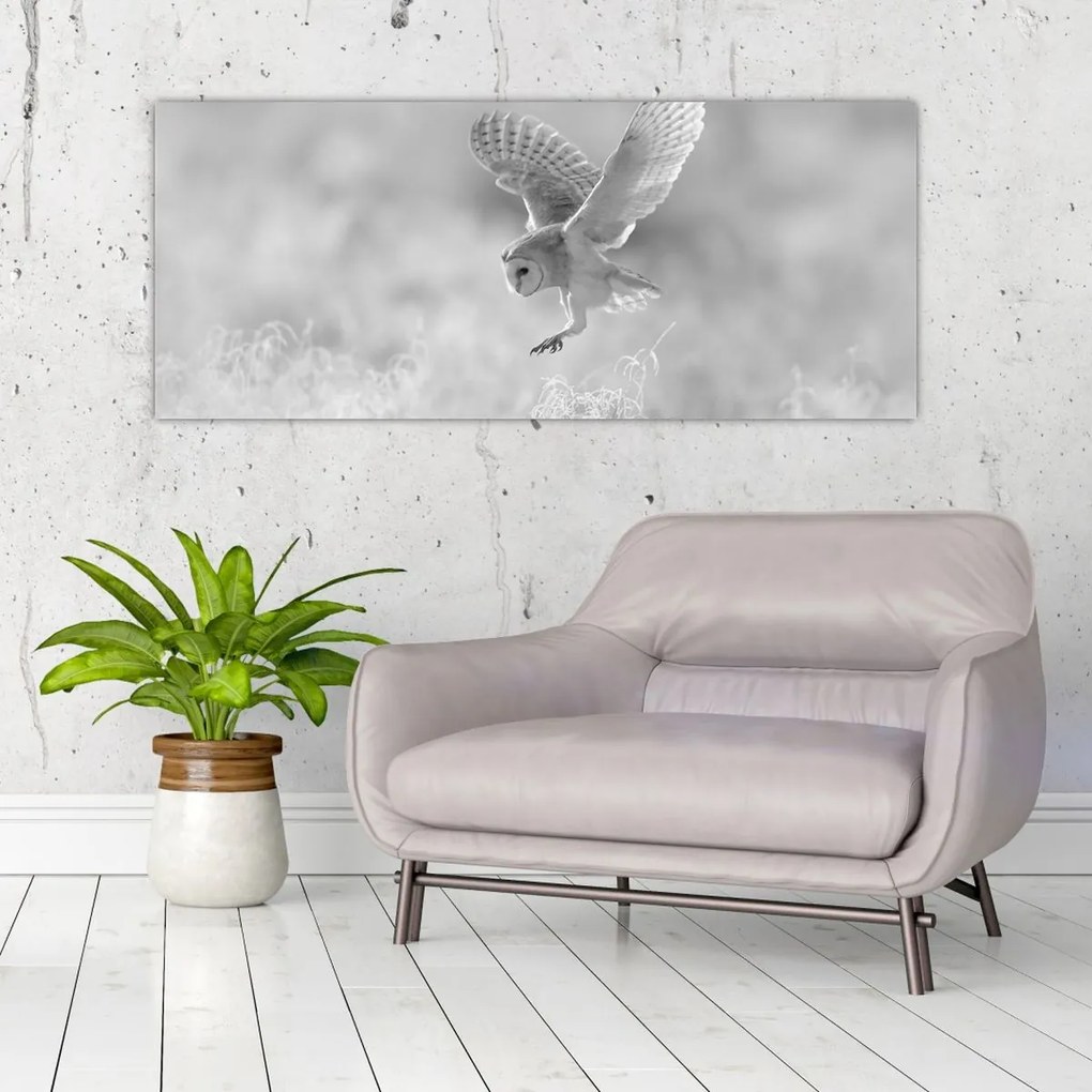 Kép - Bagoly a mezőn (120x50 cm)
