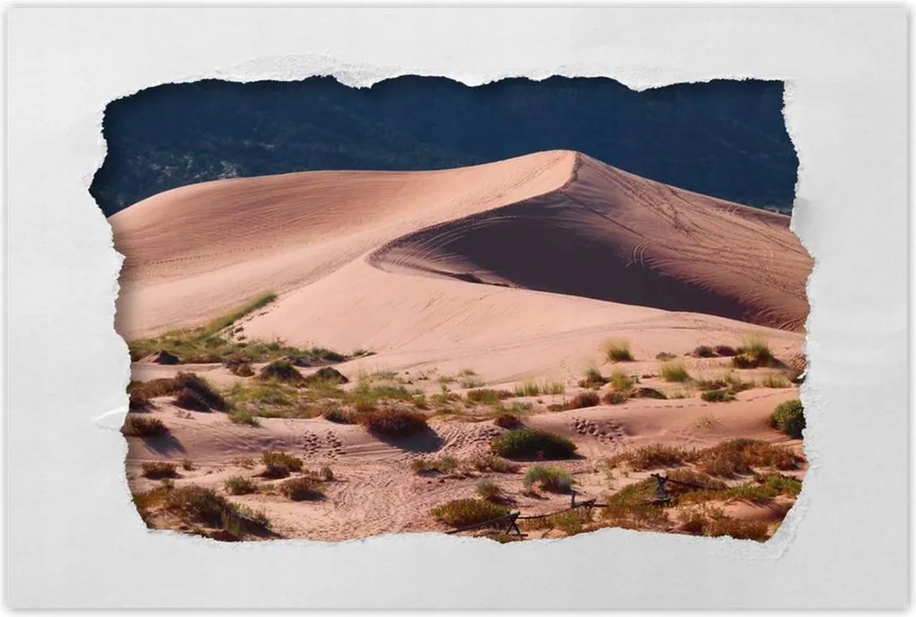 Poszterek 60x40 Sivatagi látkép