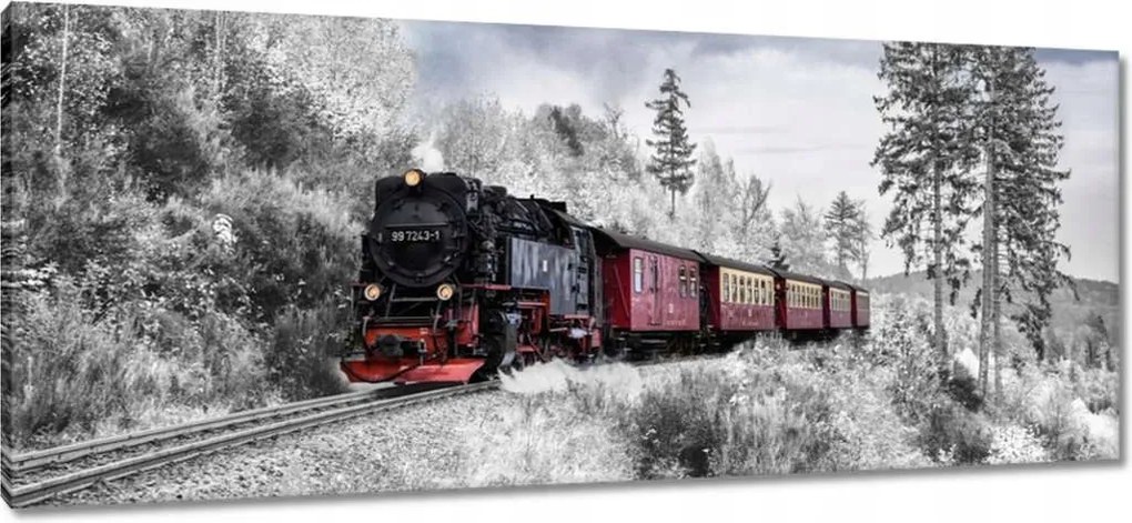 Vászonkép 100x40 Vonat és téli aura