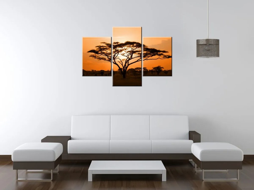 Gario Vászonkép Gyönyöru afrikai táj - 3 részes Méret: 90 x 30 cm