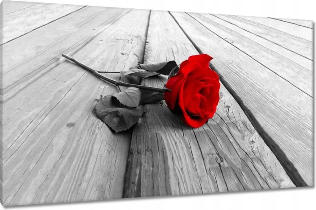 Vászonkép 120x70 Vörös rózsa a hídon