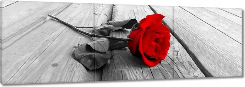 Vászonkép 90x30 Vörös rózsa a deszkákon