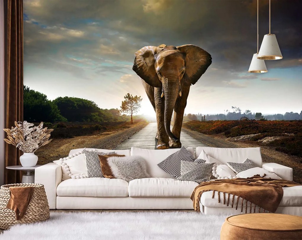 Gario Fotótapéta A vándorló elefánt Anyag: Vlies, Méret: 400 x 280 cm