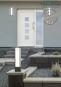 TRIO 226260142 FUERTE Modern Kültéri Fali Lámpa LED+E27 IP20