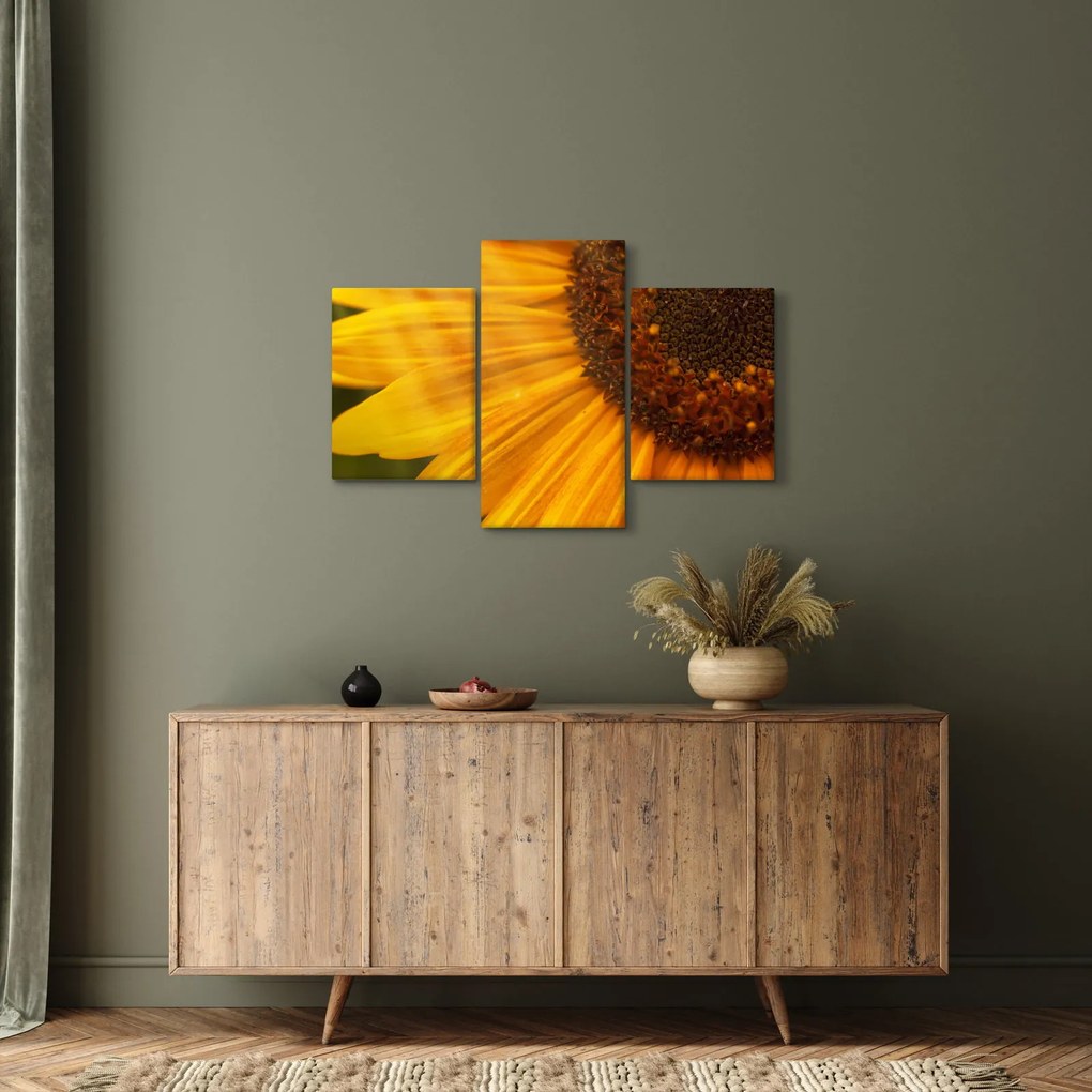 Kép - Napraforgók (90x60 cm)