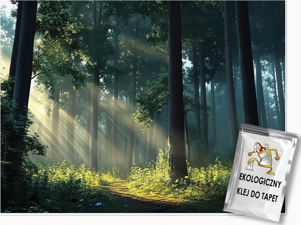 Fotótapéta Erdő Nap Fák 3D Természet Falra Hálószoba Nappali 250x175